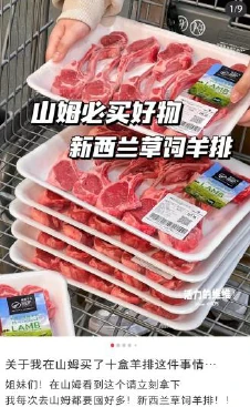 網紅分享資訊 網紅分享資訊