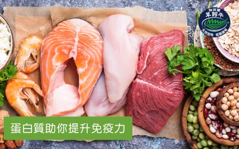 蛋白質助你提升免疫力